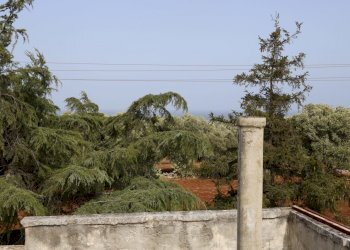 _MG_1906.jpg - Rustico Contrada Tamburroni, Ostuni - foto 14