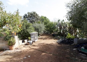 _MG_1881.jpg - Rustico Contrada Tamburroni, Ostuni - foto 16