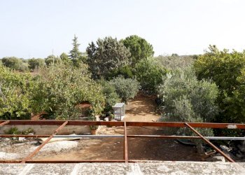 _MG_1909.jpg - Rustico Contrada Tamburroni, Ostuni - foto 17