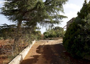 _MG_1882.jpg - Rustico Contrada Tamburroni, Ostuni - foto 24