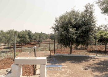 17.jpg - Villa CONTRADA VALLEGNA  SNC, Ostuni - foto 19