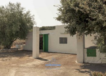 19.jpg - Villa CONTRADA VALLEGNA  SNC, Ostuni - foto 21