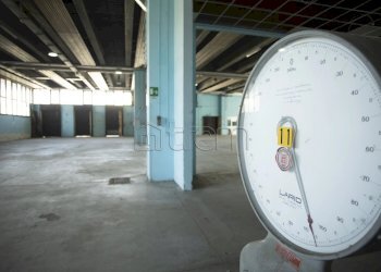 Capannone via Verona, Cernusco sul Naviglio - foto 5