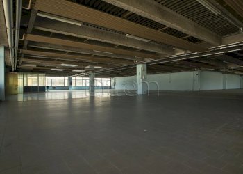 Capannone via Verona, Cernusco sul Naviglio - foto 15