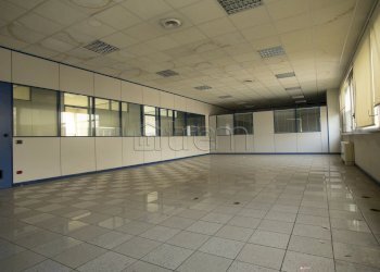 Capannone via Verona, Cernusco sul Naviglio - foto 26