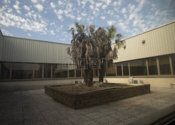 Capannone via Verona, Cernusco sul Naviglio - foto 32