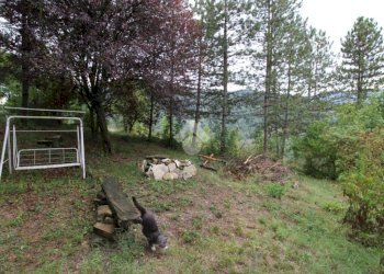Independent house Via Canale, Baiso - photo 28