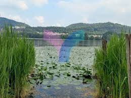 Single Family Villa VIA RIVIERA, Revine Lago - photo 2