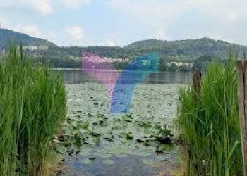 Villa Unifamiliare VIA RIVIERA, Revine Lago - foto 2