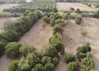 3.JPG - Casa indipendente San Sperate - foto 17