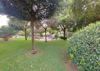 7a326dd9-af45-4ac9-9962-33f82f92d4d5.JPG - Attic Via Andrea Millevoi 401, Roma - photo 2