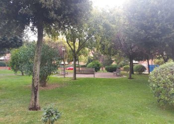 8e95d3ad-3e27-478a-8d00-2e6dc70a7b57.JPG - Attic Via Andrea Millevoi 401, Roma - photo 3