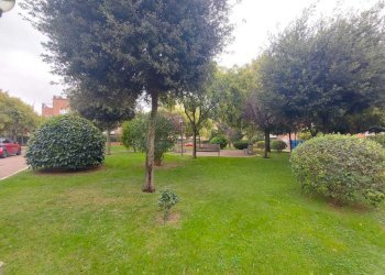 424e3ea6-86b6-450c-b939-d9d6b3d37193.JPG - Attic Via Andrea Millevoi 401, Roma - photo 4