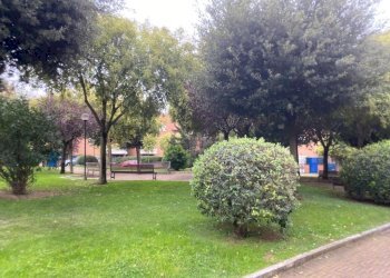 58e5eb00-407b-44b7-9332-cbfc7bca7a66.JPG - Attic Via Andrea Millevoi 401, Roma - photo 5