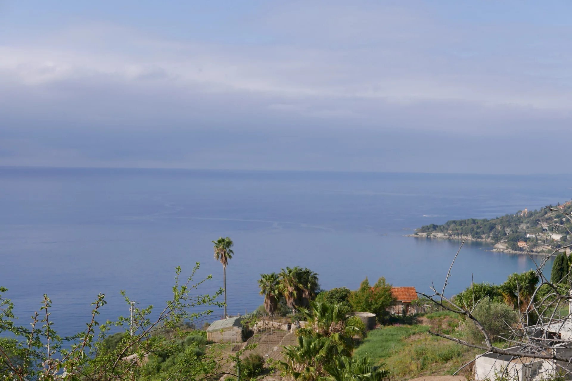 Terreno agricolo VENTIMIGLIA VILLE, Ventimiglia - foto 3