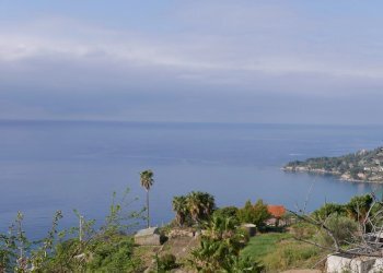 Terreno agricolo VENTIMIGLIA VILLE, Ventimiglia - foto 3