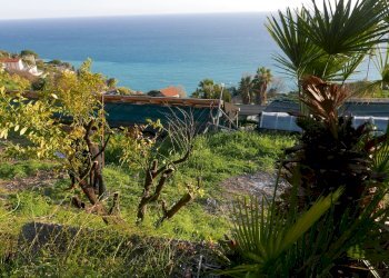 Terreno agricolo VENTIMIGLIA VILLE, Ventimiglia - foto 5