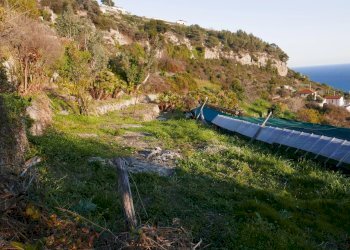 Terreno agricolo VENTIMIGLIA VILLE, Ventimiglia - foto 7