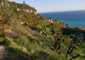 Terreno agricolo VENTIMIGLIA VILLE, Ventimiglia - foto 8