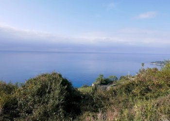 Terreno agricolo VENTIMIGLIA VILLE, Ventimiglia - foto 9
