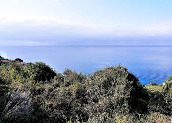 Terreno agricolo VENTIMIGLIA VILLE, Ventimiglia - foto 10