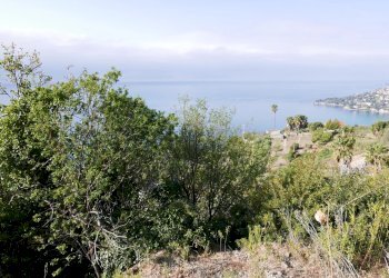 Terreno agricolo VENTIMIGLIA VILLE, Ventimiglia - foto 11