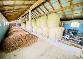 Independent house Via fiano, Varisella - photo 18