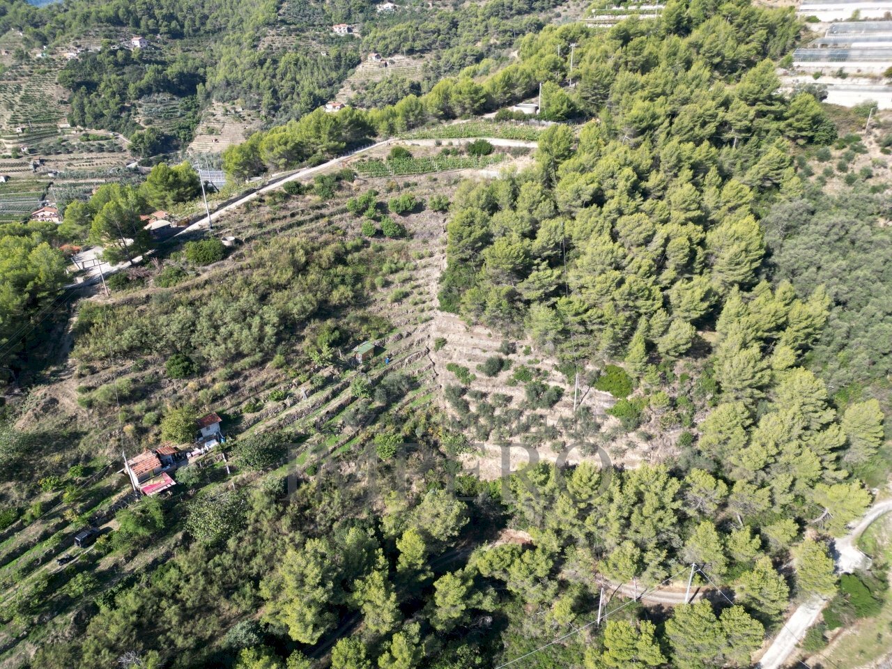 foto drone - Rustic Strada Pini 38, Soldano - photo 3