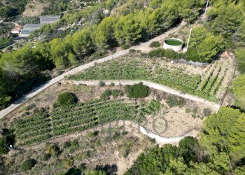 foto drone - Rustic Strada Pini 38, Soldano - photo 4