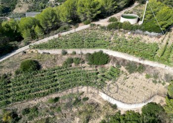 foto drone - Rustic Strada Pini 38, Soldano - photo 5