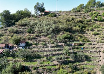 foto drone - Rustic Strada Pini 38, Soldano - photo 8