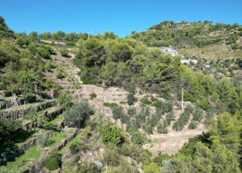 foto drone - Rustic Strada Pini 38, Soldano - photo 11