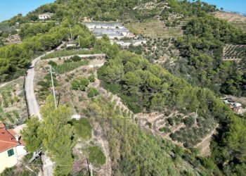 foto drone - Rustic Strada Pini 38, Soldano - photo 14