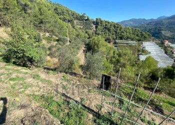 foto esterna - Rustic Strada Pini 38, Soldano - photo 27