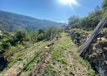 foto esterna - Rustic Strada Pini 38, Soldano - photo 28