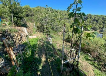 foto esterna - Rustic Strada Pini 38, Soldano - photo 30