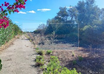 Terreno agricolo contrada figiliffi, Siracusa - foto 6