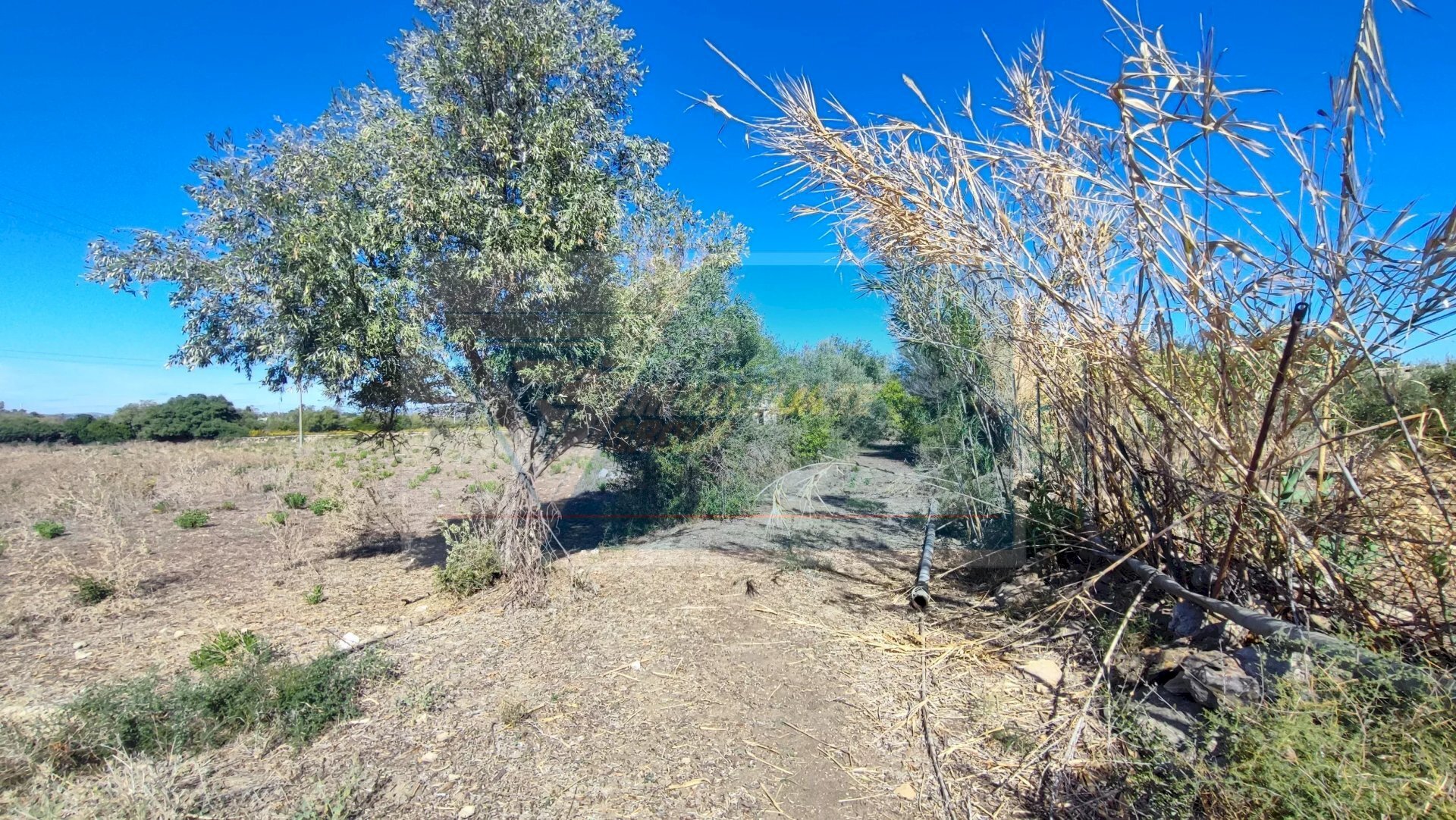 Terreno agricolo Contrada Fegotto, Siracusa - foto 1