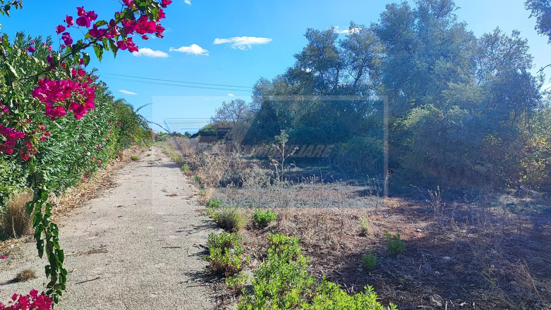 Terreno agricolo Contrada Fegotto, Siracusa - foto 2