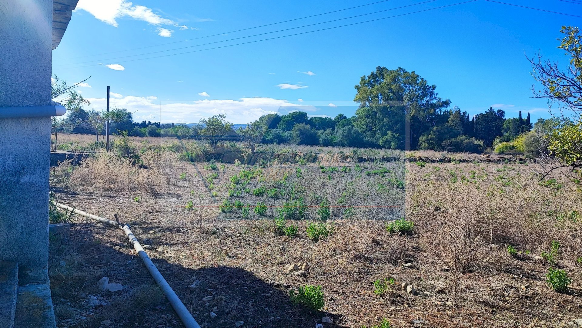 Terreno agricolo Contrada Fegotto, Siracusa - foto 3