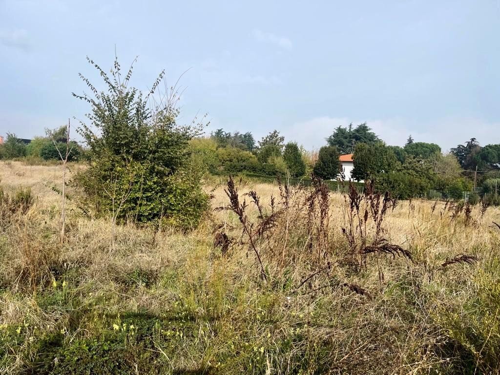 Commercial land Imola - photo 3