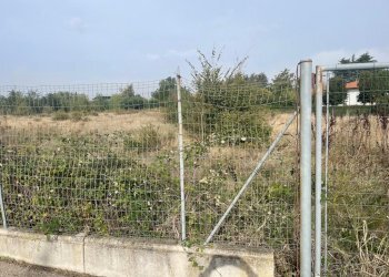 Terreno commerciale Imola - foto 4