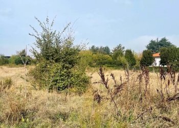 Terreno commerciale Imola - foto 5