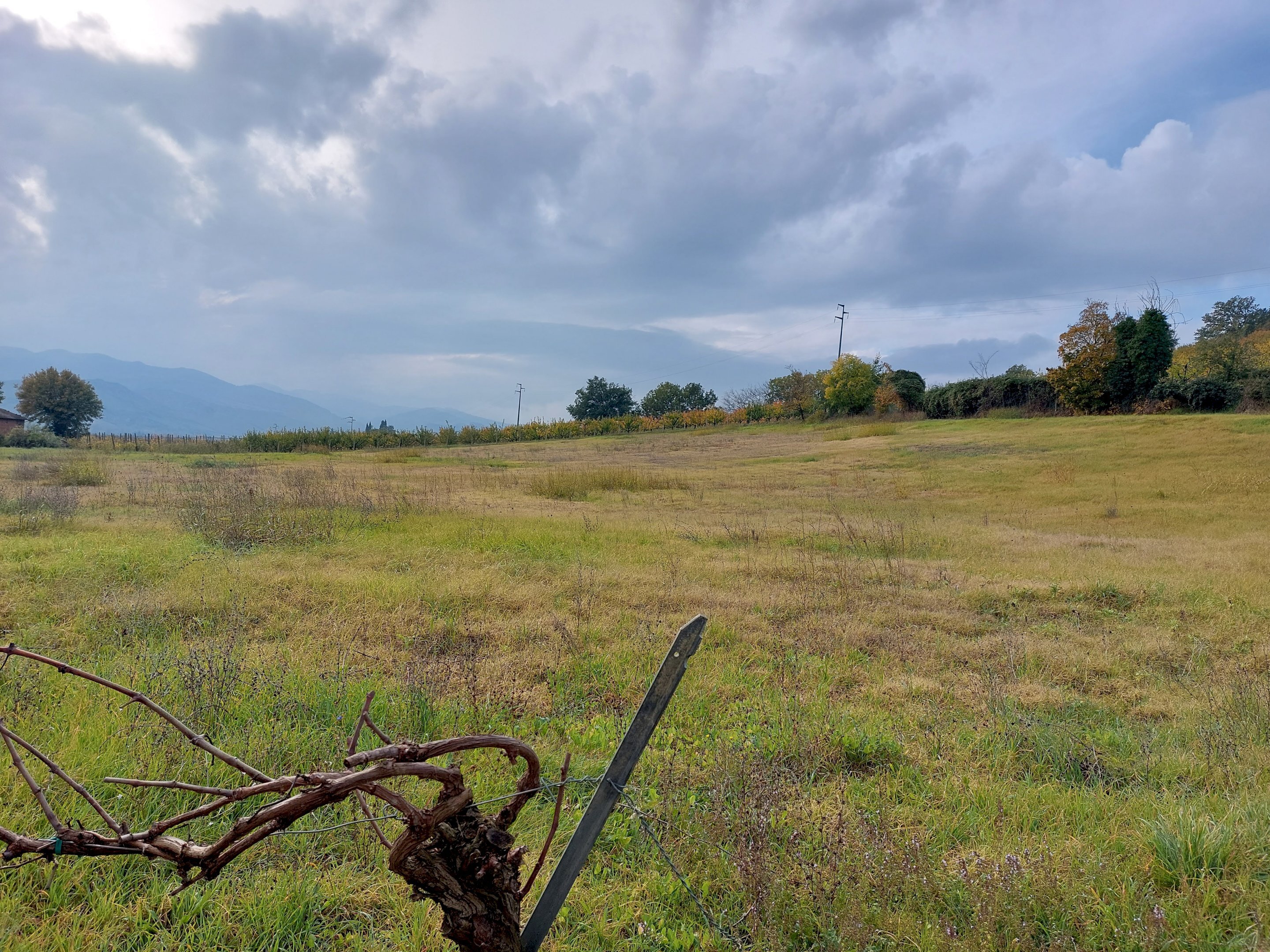 terreno - Terreno agricolo frazione Ponticelli, Imola - foto 2