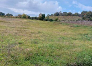 terreno - Terreno agricolo frazione Ponticelli, Imola - foto 1