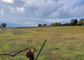 terreno agricolo - Deposito frazione Ponticelli, Imola - foto 8