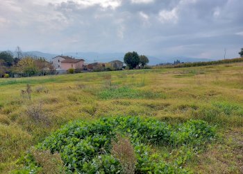 terreno agricolo - Deposito frazione Ponticelli, Imola - foto 9