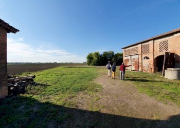Rustico strada Piangipane, Argenta - foto 3