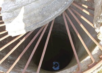 Rustico strada Piangipane, Argenta - foto 5