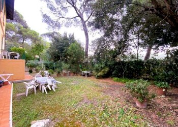 giardino - Villa Via Renato Fucini, Livorno - foto 27